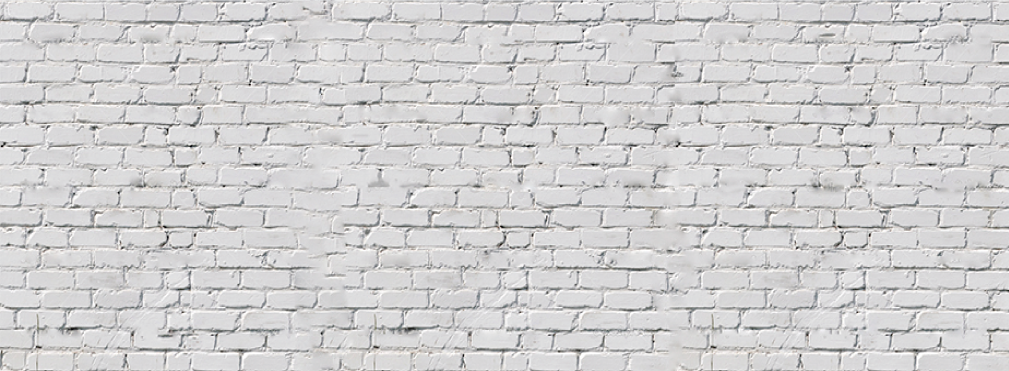 fondo brickd